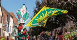 fete-du-gewurztraminer-a-bergheim-233400-1200-630.jpg