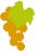 image d'une grappe de raisin